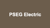 PSEG electric