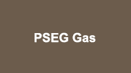 PSEG