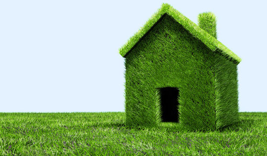 Green grass house