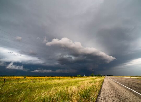 A dramatic sky with dark clouds against a field of summer flowers and a supercell thunderstorm rolls across the Texas plains.